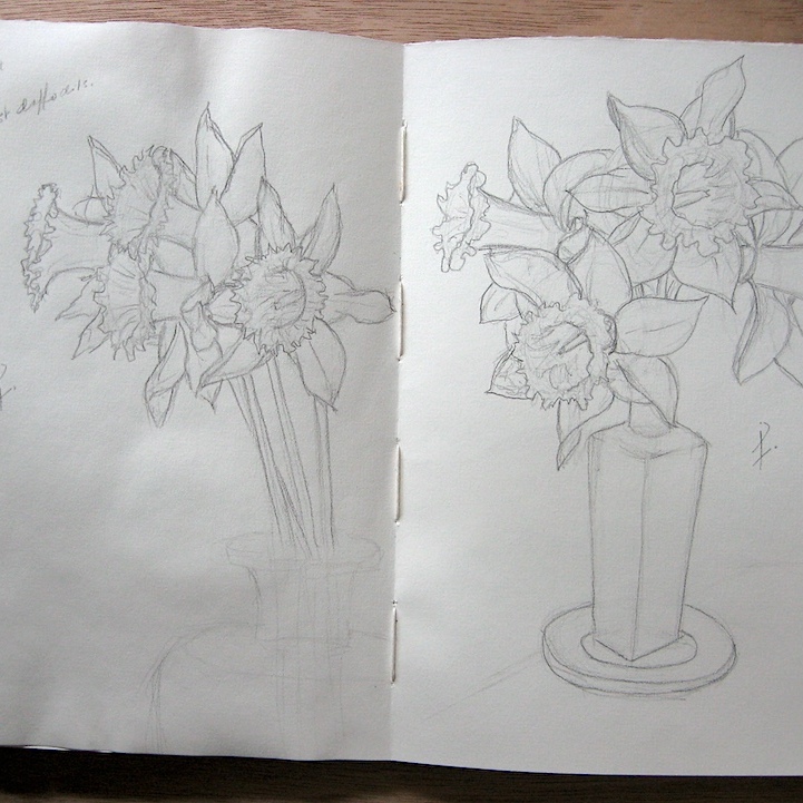 JFries sketchbook 4.2024 1st daffodils 72dpi